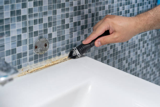 Trusted Fayetteville, AR Mold Removal Experts