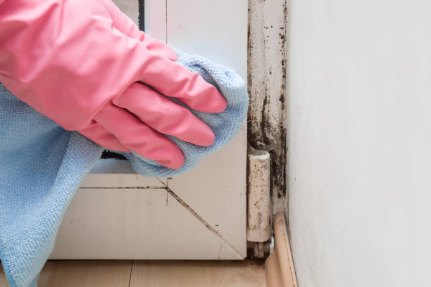 Water Damage Restoration in Fayetteville, AR